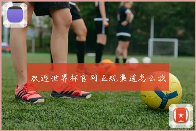 欢迎世界杯官网正规渠道怎么找