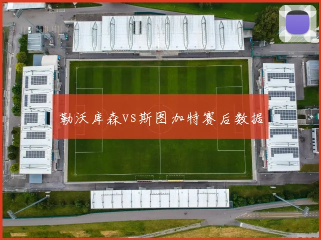 勒沃库森vs斯图加特赛后数据