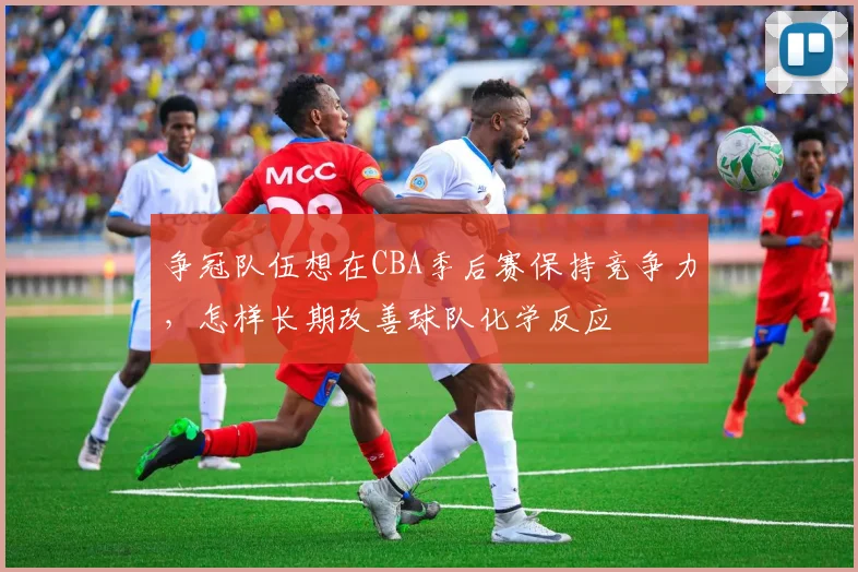 争冠队伍想在CBA季后赛保持竞争力，怎样长期改善球队化学反应